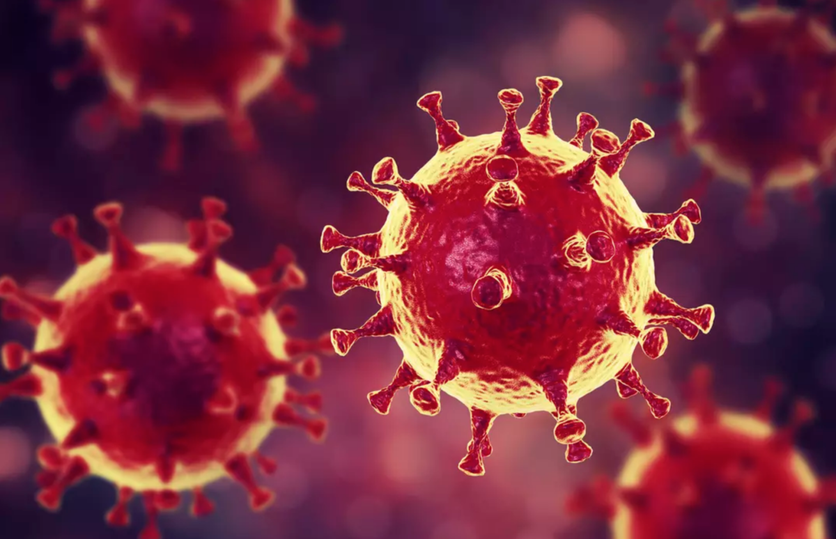 coronavirus-1200x774.png